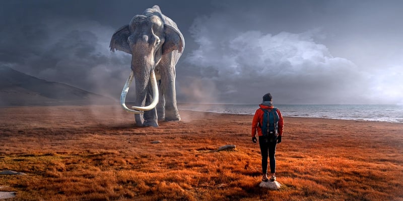 Ancient Encounters
